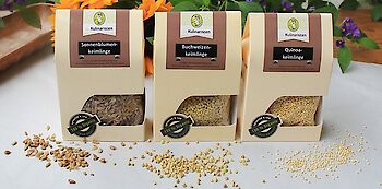 Vorteile für die Ernährung: glutenfreie Quinoa